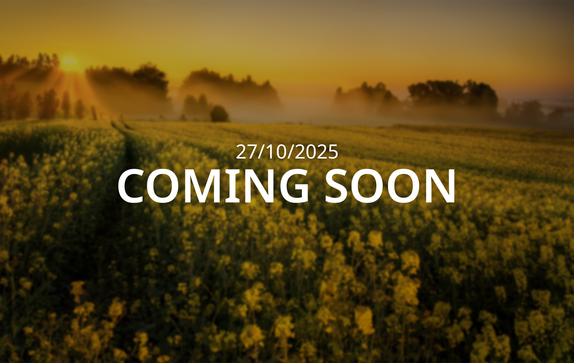 Big news coming soon!