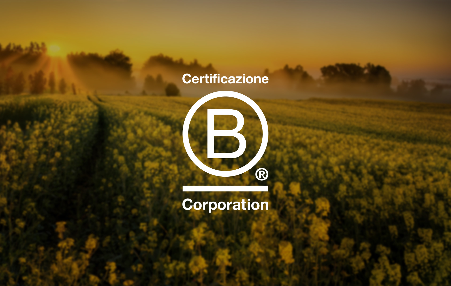 We are officially a certified B Corp!