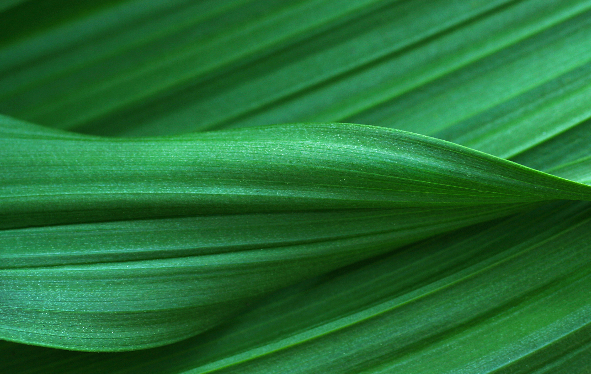 Eulip pubblica il nuovo Bilancio di Sostenibilità