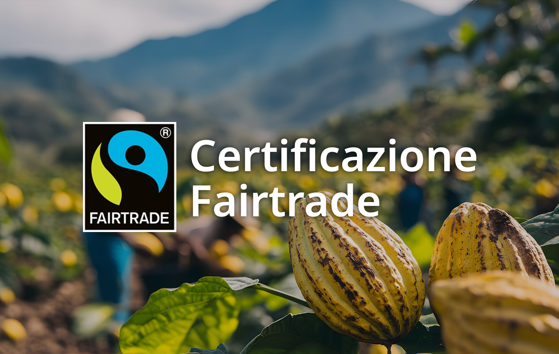 Burro di cacao e olio di cocco: il nostro impegno con Fairtrade